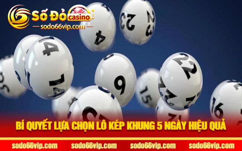 Bí quyết lựa chọn lô kép khung 5 ngày hiệu quả