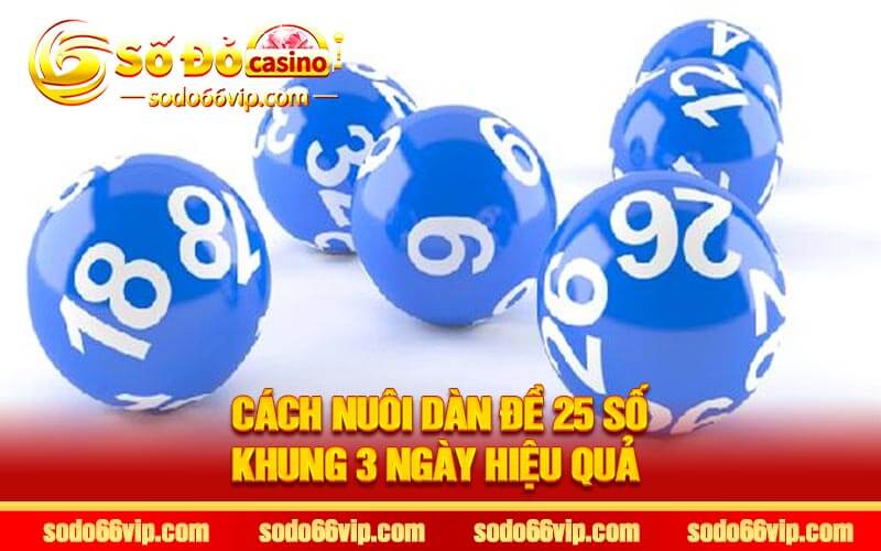 Cách Nuôi Dàn Đề 25 Số Khung 3 Ngày Hiệu Quả